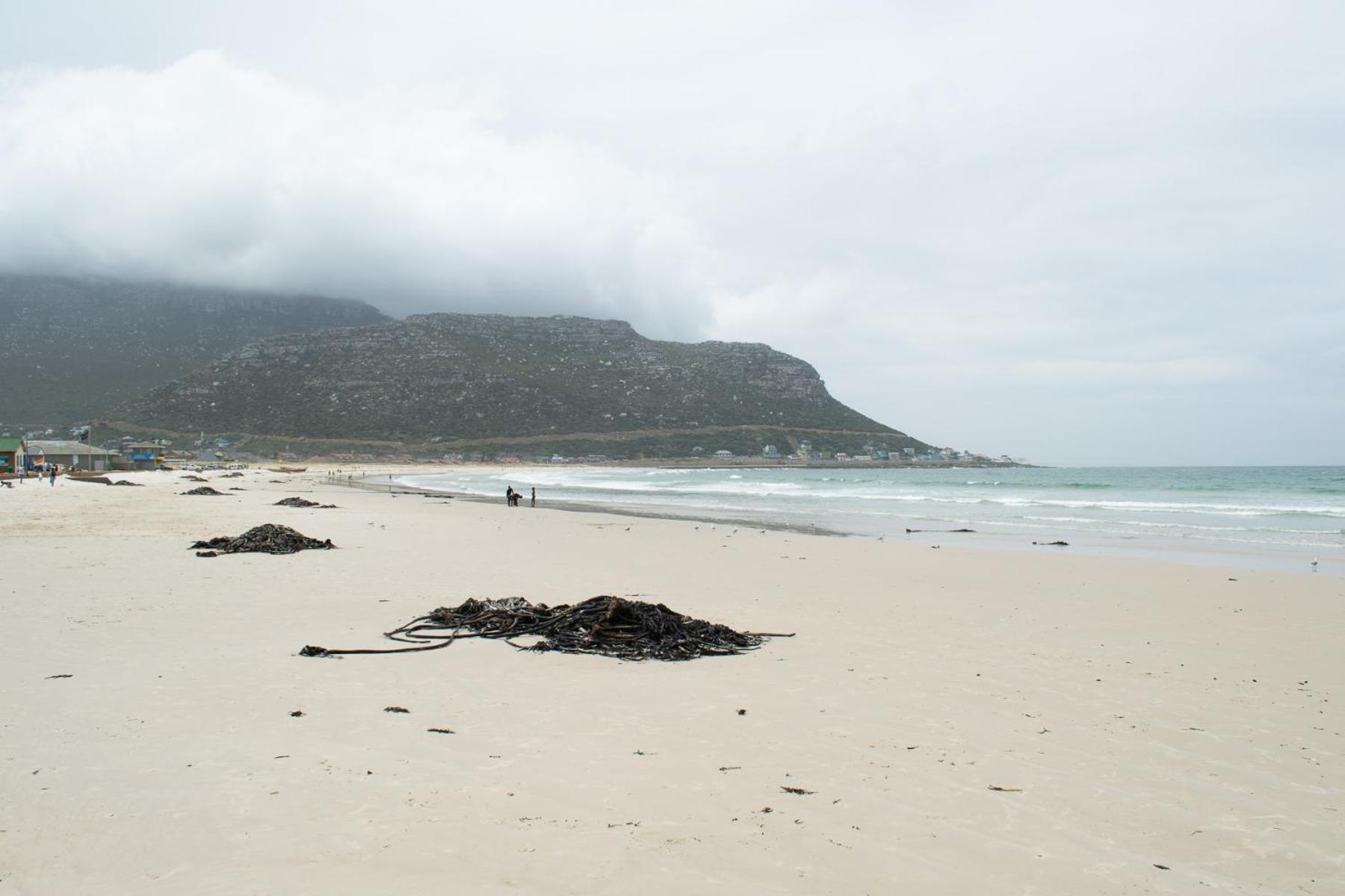 Apartment Place Of Grace Cape Town